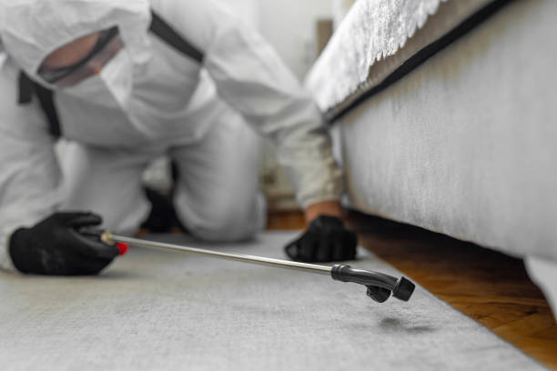 Professional Emergency Pest Control technician working in Lake Linden, MI