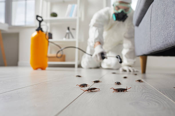 Trusted Cockroach Control service in Lake Linden, MI - Nex Pest Control